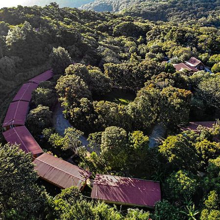 El Bosque Lodging Villa Monteverde Екстериор снимка