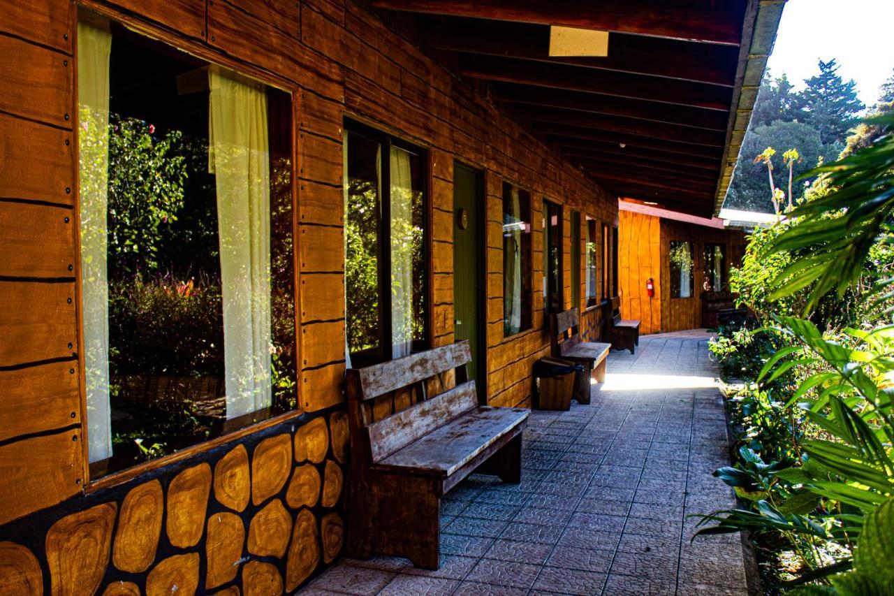 El Bosque Lodging Villa Monteverde Екстериор снимка