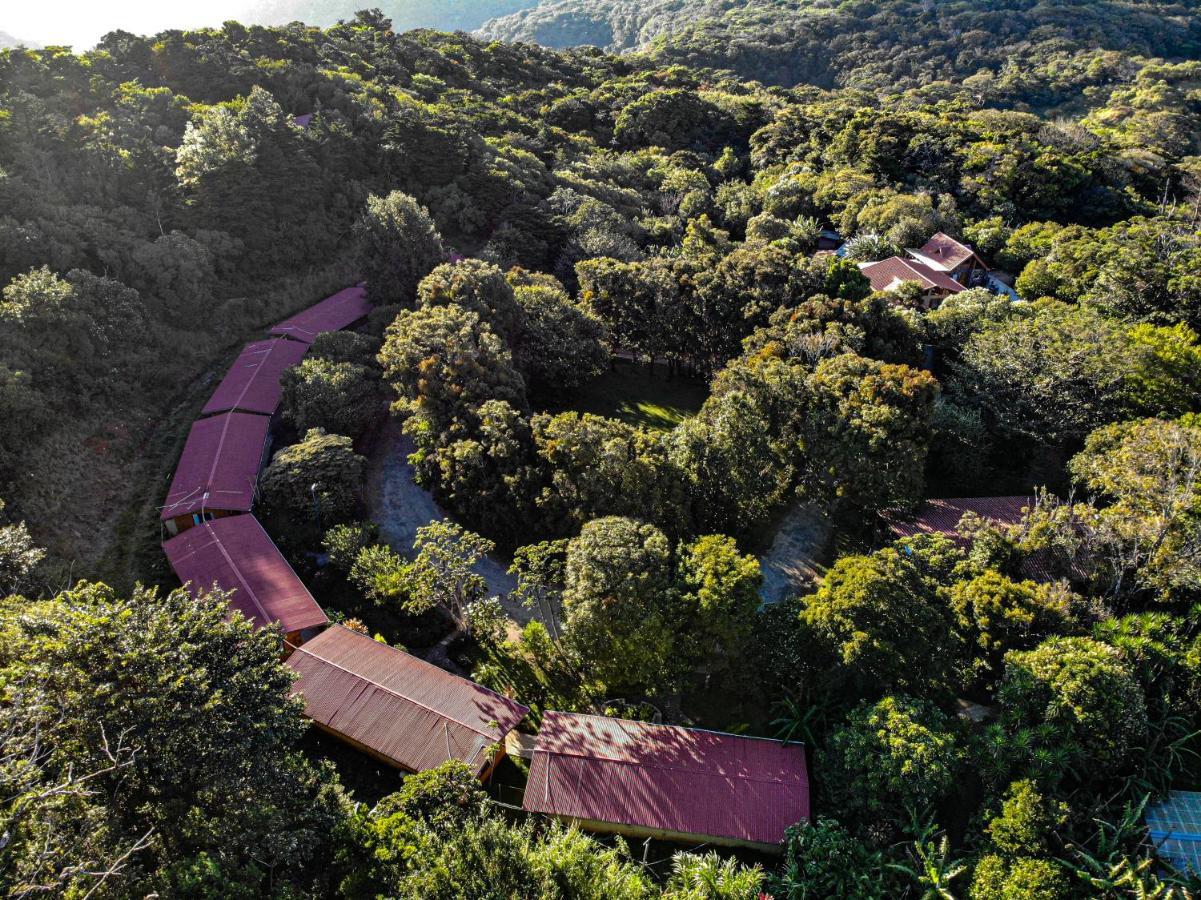 El Bosque Lodging Villa Monteverde Екстериор снимка